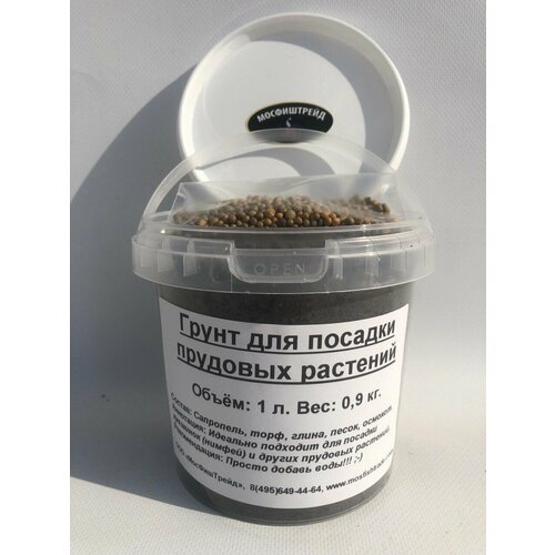 ������ ������ ����� ��� �������� �������� 1 �. ������. ����