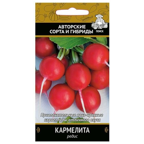 ������ ������ ������ ����� ���������, 3 � ����