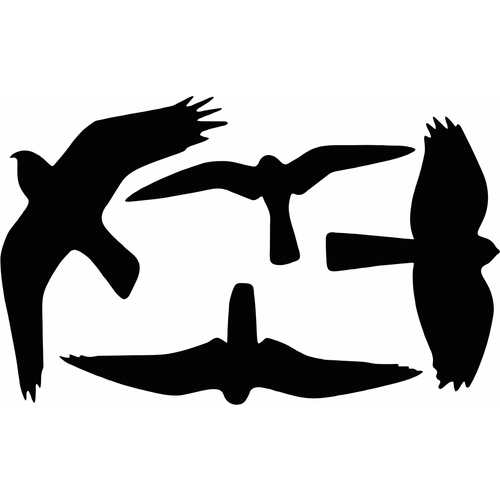 ������ ������ �������� �� ���� ��� ����������� ���� (21 x 30) �� - V5 ����