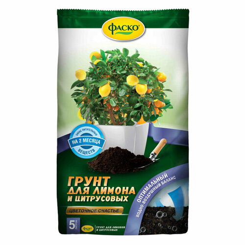 ������ ������ ���������� ��� ���������� �������� ����� 5� ����