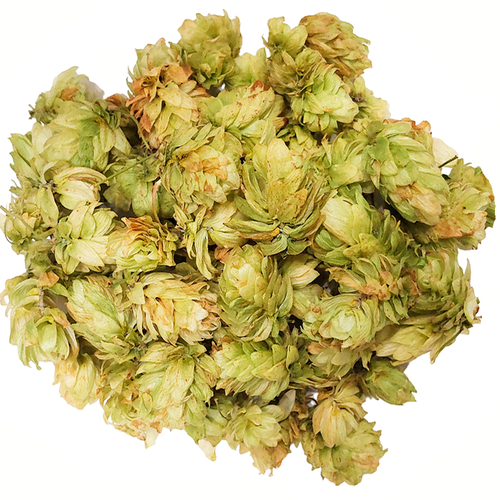 ������ ������ ����� �����, ������������� ����� 10�. ����