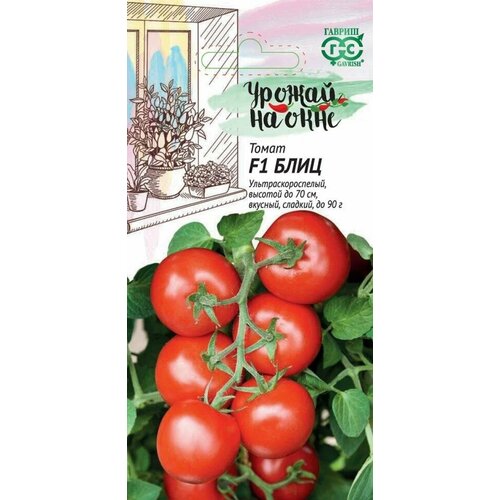 ������ ������ ������ ����� ���� F1 12�� ��� ������ (������) ������ �� ���� ����