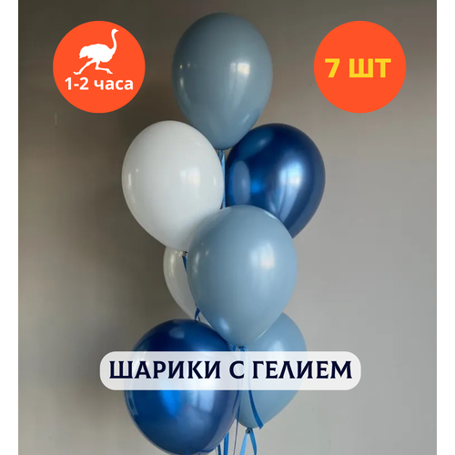 ������ ������ ������ ��������� �� ���� ��������, ��������� ���� � ������, ���� � ���� �������� ��� ������� 