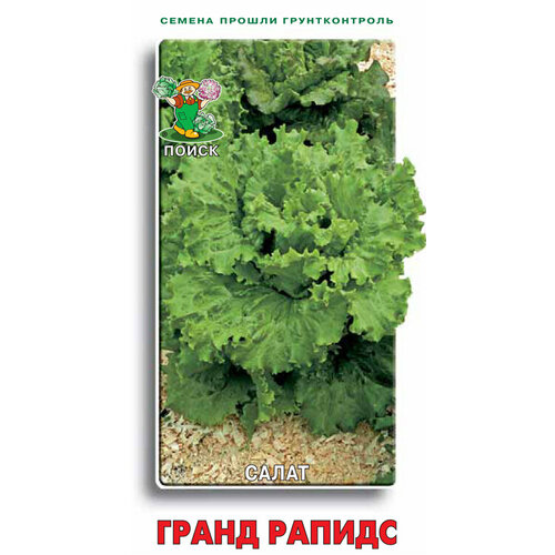 ������ ������ ����� ����� ������ 1��. (�����) ����