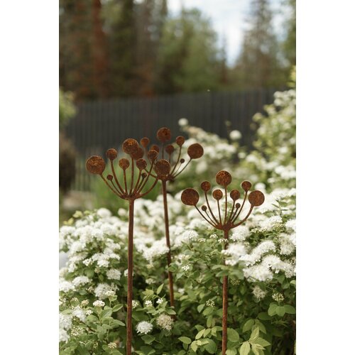 ������ ������ ������� ����� ���� ������ ����� ����