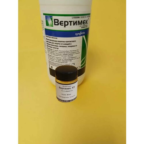 ������ ������ ���������� �������� 50 �� ����