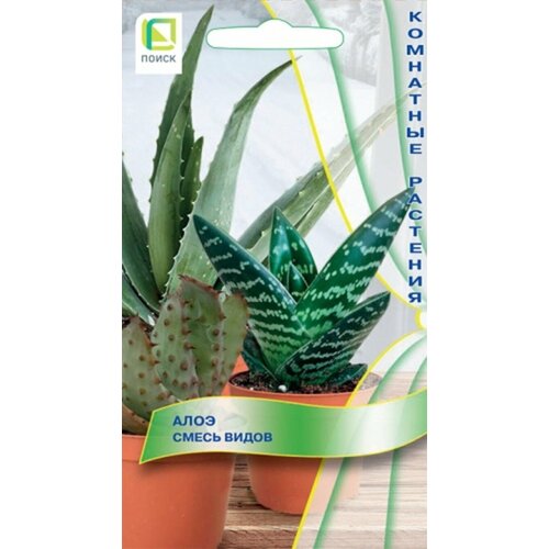 ������ ������ ���� ���� ����� (10 �����) ����