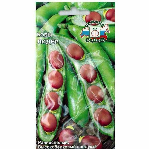 ������ ������ ������ ���� ����� (�����) 10� ����