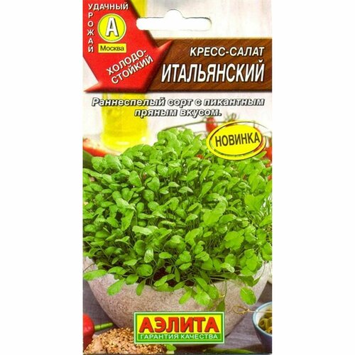 ������ ������ ������ �����-����� ����������� (������) 1� ����