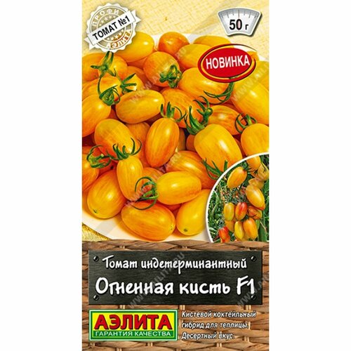 ������ ������ ������ ����� �������� ����� F1 (������) 10�� �����-������ ����