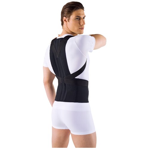 ������ ������ ��������� ������ ORTO �� 110, ������ L2, ���� 165-190, ������ ����