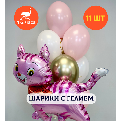 ������ ������ ������ ��������� �� ���� ��������, ��������� ���� � ������, ���� � ���� ��������, ����� ����� ��� ������� 