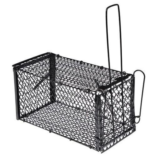 ������ ������ Greengo 1005033 ������.. ����