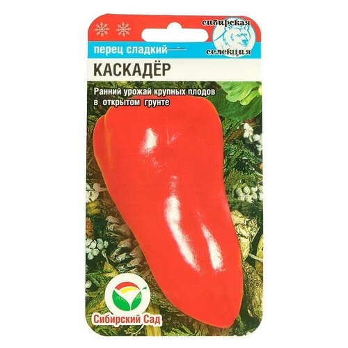 ������ ������ ������ ����� 