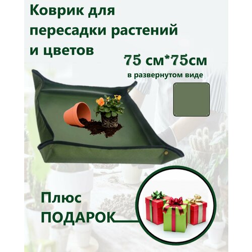 ������ ������ ������ ��� ��������� �������� � ������ ����