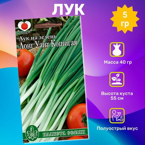 ������ ������ ������ ���� ���� ���� ������� 5��. ���������� �������� ����