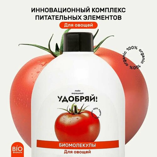 ������ ������ �������! ����������� ��� ������ 400 �� ����