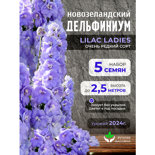 ������ ������ ������ ��������������� ����������� 5 �� ����� ���� ����