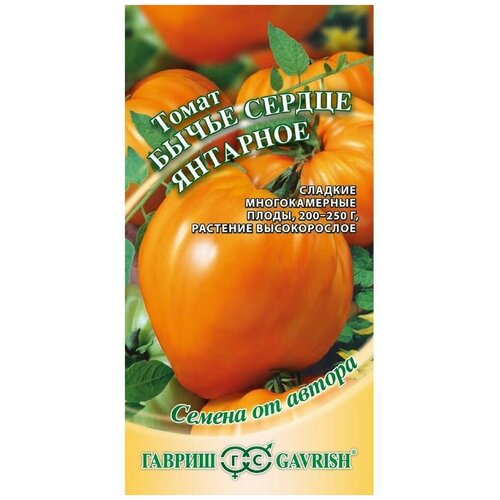 ������ ������ ������ ������ ����� 