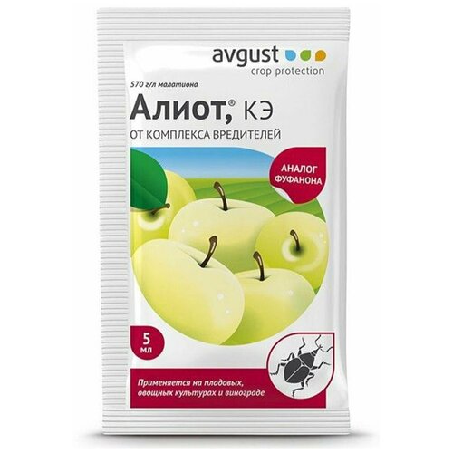 ������ ������ �������� �� ��������� ���������� 