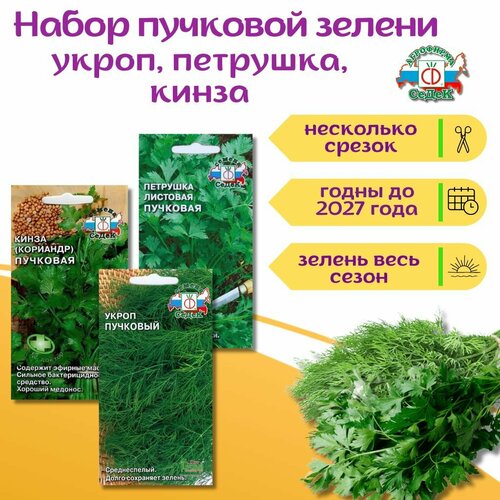 ������ ������ ����� ������: ������ ������, ��������, ����� (��������), ������ �� 2 � ����