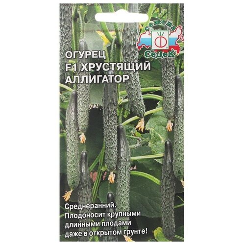 ������ ������ ������ ������ 