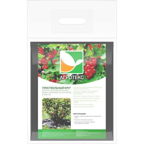 ������ ������ ������������ ���� 