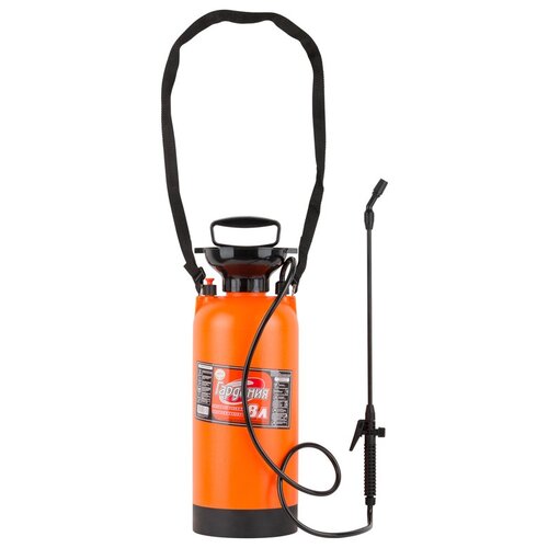 ������ ������ �������������  �������-���� �������� 8 � ����