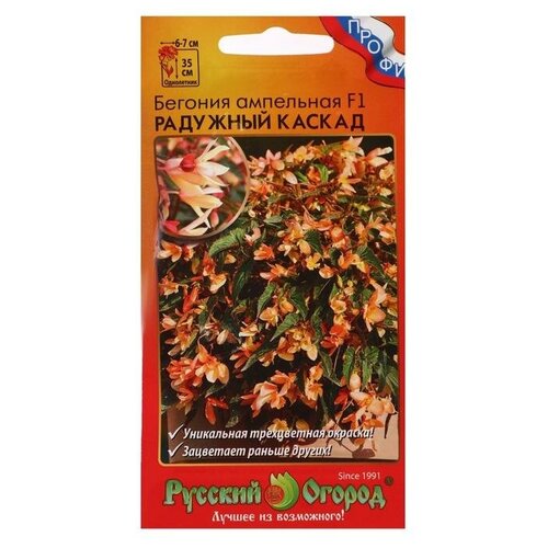 ������ ������ ������� ��������� F1 �������� ������ ����