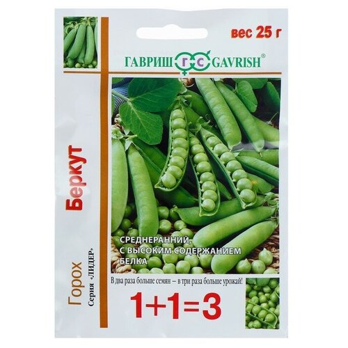 ������ ������ ������ ����� 1+1 