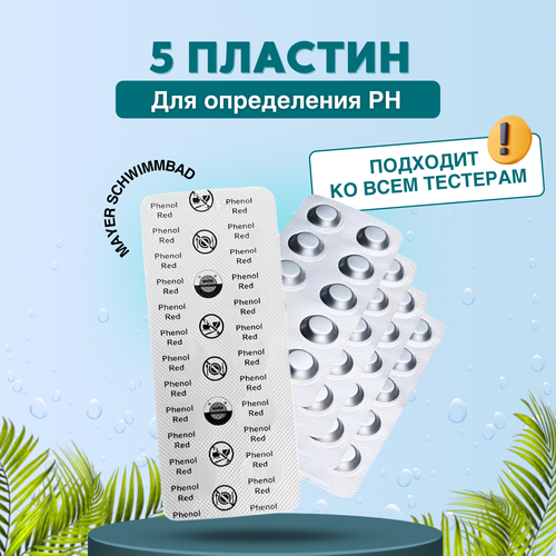 ������ ������ �������� 