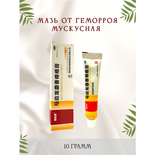 ������ ������ ��������� ��������� ���� �� �������� � ������ 10 ����� ����