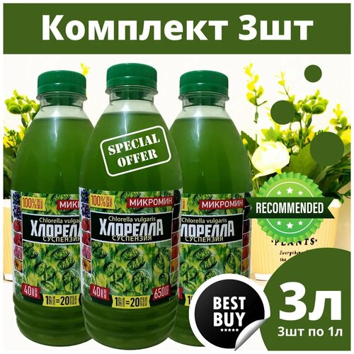 ������ ������ �������� ��������� (�������� 3 �� � 1�) ����