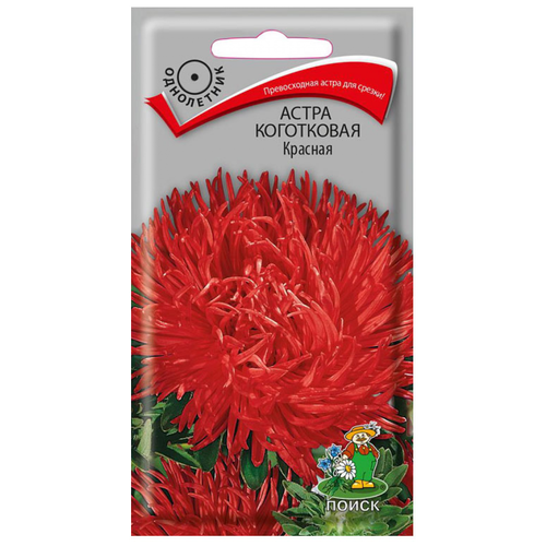 ������ ������ ������ ����� ���������� ������� ���������� 0,3 ��. ����