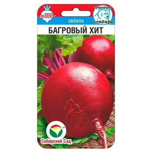 ������ ������ ������ ������ �������� ��� 2� (��������� ���) ����