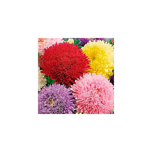 ������ ������ ������ ����� ����� �������� ����� ������� (0,3 ��.) ����