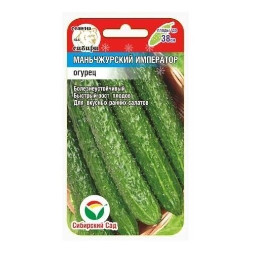 ������ ������ ������������ ��������� 7�� ������ (��� ���) ����