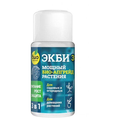 ������ ������ ��������� ���-�������� ���� 3 ��� �������, ��������� � �������� ��������, 0.05 �, 50 �, 1 ��. ����