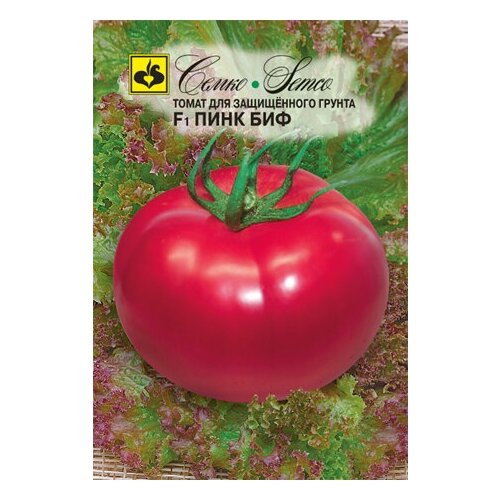 ������ ������ ����� 