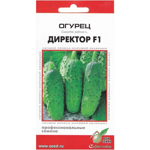 ������ ������ ������ �������� F1, 6 ����� ����