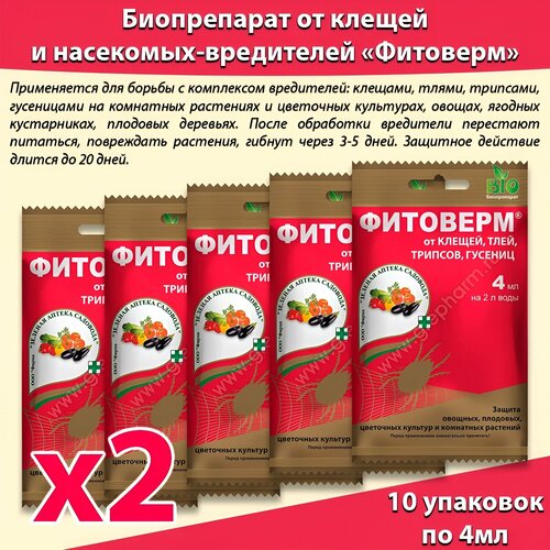 ������ ������ �������� �� ���, ������, ���������� 4�� * 10 �� ����