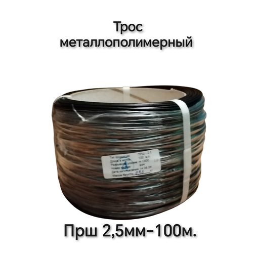 ������ ������ ���� ����� ��� 100� 2,5 �� ����