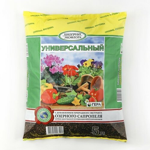 ������ ������ ����� �������������, �������� ��������, 5 � ����