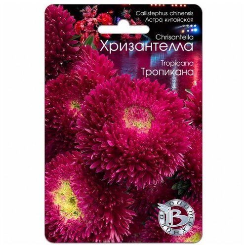 ������ ������ ������ ����� ��������� 