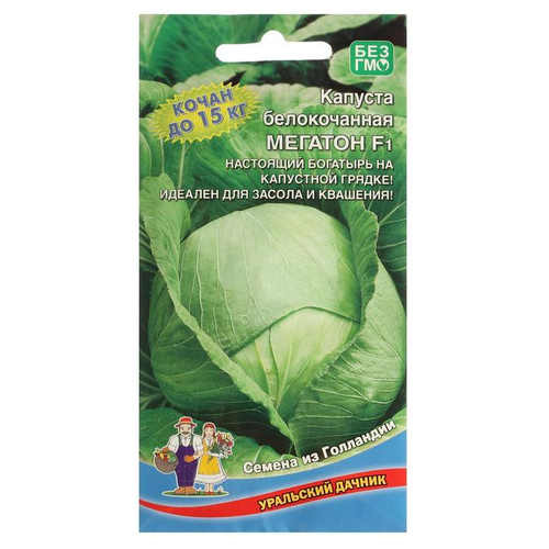 ������ ������ ������ ��������� ������ ������� ������������ ������� F1, 10-12 �� ����