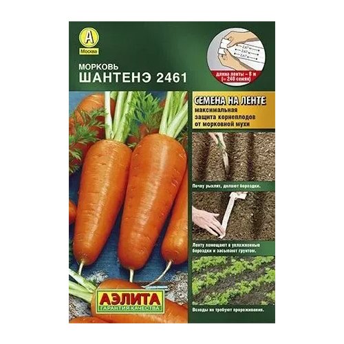 ������ ������ ������� ������� 2461, ������ ������ �� ����� 8� ����