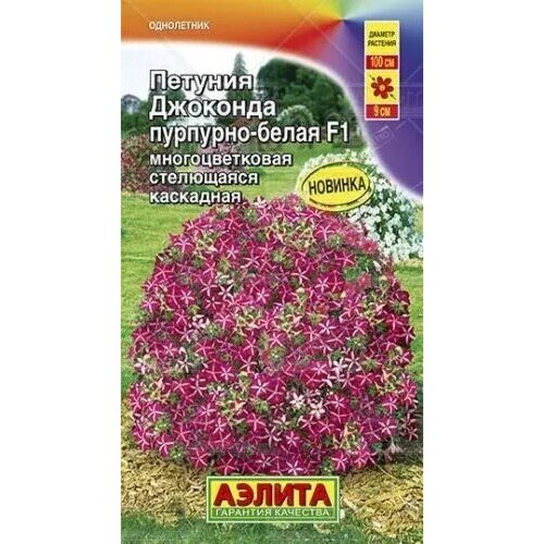 ������ ������ ������� �������� ��������-����� F1, ������ ������ 7�� ����