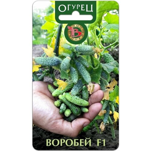 ������ ������ ������ ������ ������� 10�� �� ������ (����������) ����