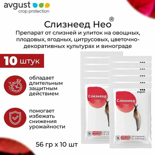������ ������ �������� �� ������� � ������ �������� ��� ��� ������ ��������, 56 �� 10 �� ����