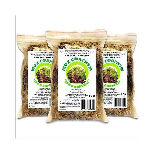 ������ ������ ��� ������� ��� � ������, 0.7 � ����